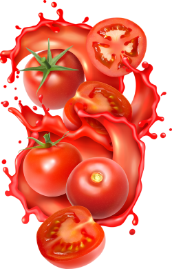 sause, tương cà, kipchup, cà chua,tomato