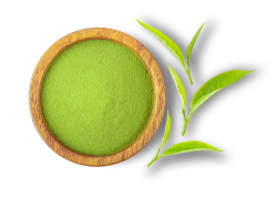 matcha