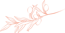 lá, leaf, cây, line, đường kẻ, dễ thương, cute, wedding