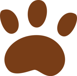 dog, dấu chân, footprint