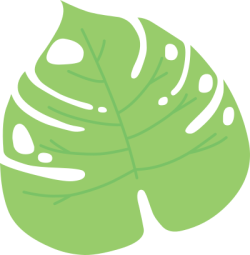 lá, leaf