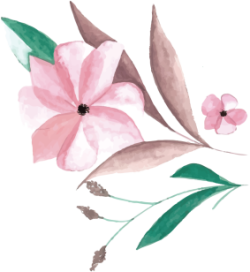 hoa, uyên ương, bird, wedding, pink, flower