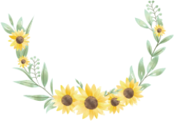 hoa hướng dương, sunflower, dễ thương, cute
