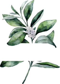 Lá, màu nước, watercolor, leaf, thiên nhiên, hoa lá
