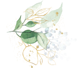 hoa lá, thiên nhiên, watercolor, flower, green