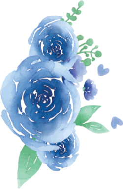 hoa, lá, flower, watercolor, blue, rose 6