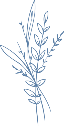 hoa, lá, flower, hoa lá, thiên nhiên, hoa nét, blue lines