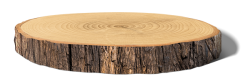 bục gỗ, wooden platform