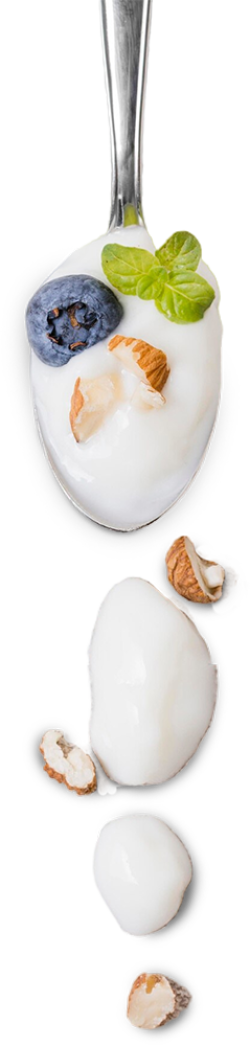 sữa chua, yogurt, cereal, ngũ cốc, food, f&b 7