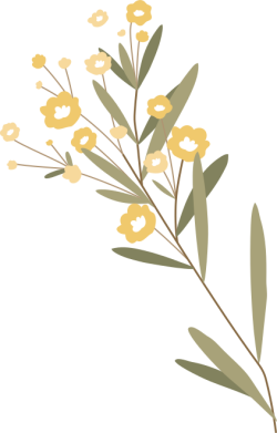 Flowers, hoa