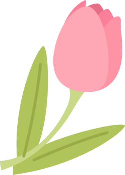 hoa, flower