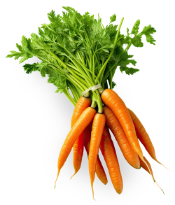 nông sản, vegetable, rau củ, carrot, cà rốt