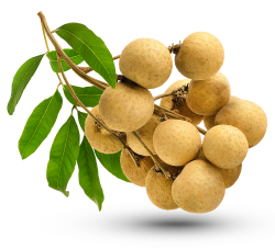 lychee, nhãn