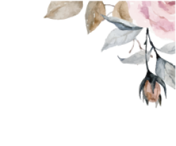 flower, hoa lá, màu nước, watercolor, hoa hồng, rose