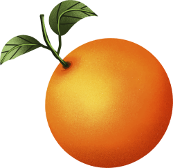 quả cam, orange