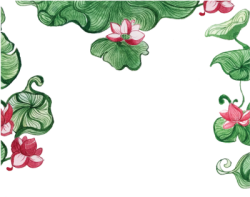 Hoa sen, lotus, flower, đám cưới, truyền thống, wedding