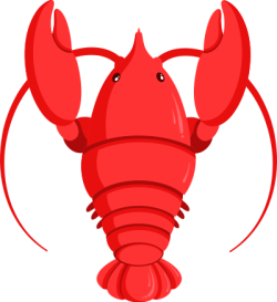 tôm, shrimp, prawn, lobster, hải sản, seafood, food, ẩm thực 1