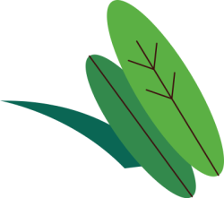 lá, leaf