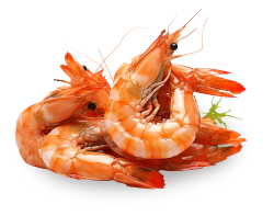 food, món ăn, thực phẩm, tôm, shrimp