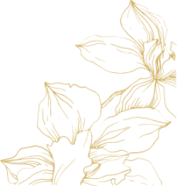 outline flower, gold flower, orchid