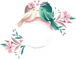 uyên ương, bird, chim