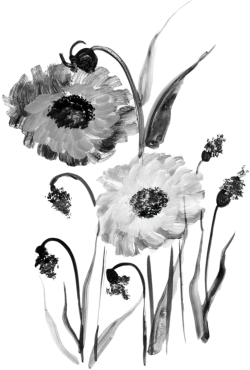 hoa, flower, retro, vintage