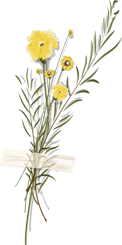 hoa, flower, retro, vintage