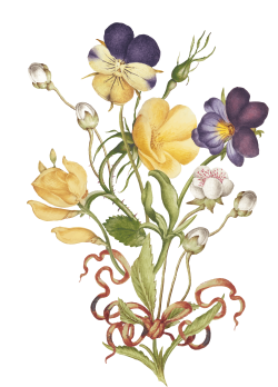 hoa, flower, retro, vintage 2