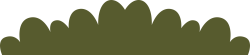 lá, leaf, cỏ, grass