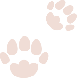 dấu chân, footprint
