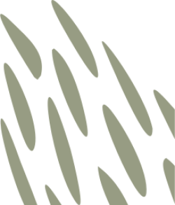 mảng màu, mảng, shape, abstract