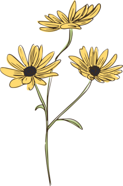 hoa, flowers 1