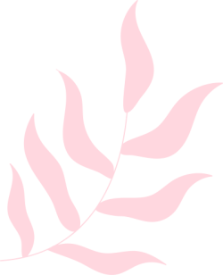 lá, leaf, spa