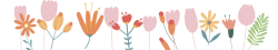 hoa, flower