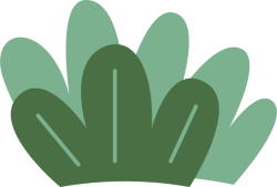 cute, dễ thương, cây, lá, cỏ, grass