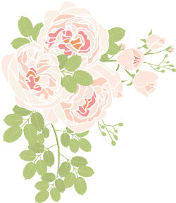 hoa, flower, watercolor, retro, vintage