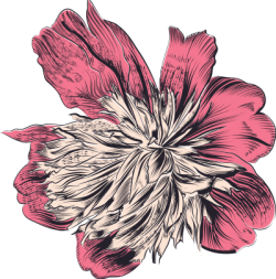 vintage, cổ xưa, hoa, flower 4