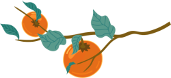 cam, orange