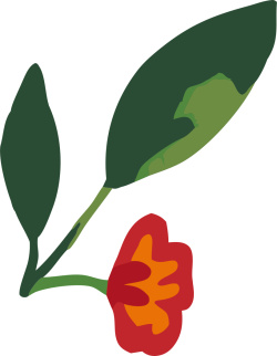 hoa, flower, vintage, retro