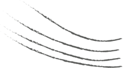 line, đường kẻ, line, shape, abstract