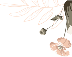 flowers, hoa
