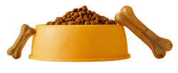 đồ ăn, food, thực phẩm pet,