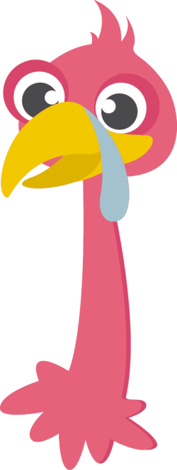 ostrich, đà điêu, dễ thương, cute