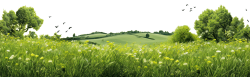 núi, đồi, mountant, hill, vintage, thơ mộng