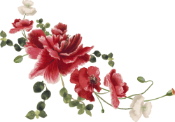 hoa, flower, retro, vintage
