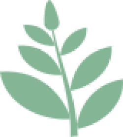 lá, leaf, cute, dễ thương