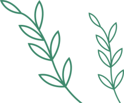 lá, lá cây, leaf, shape