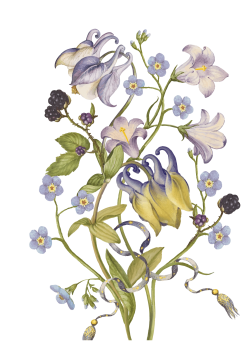 hoa, flower, retro, vintage