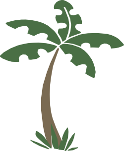 cute, dễ thương, cây, cây dừa, coconut