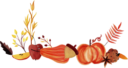 rau củ, vegetable 1